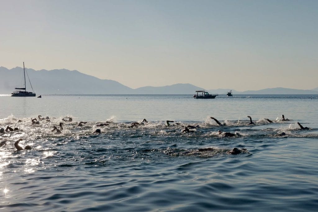 Swimmers compete in a triathlon, cutting through calm sea waters during the day.