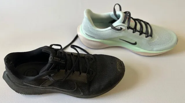 photo chaussure nike pegasus 41 +40 dessus