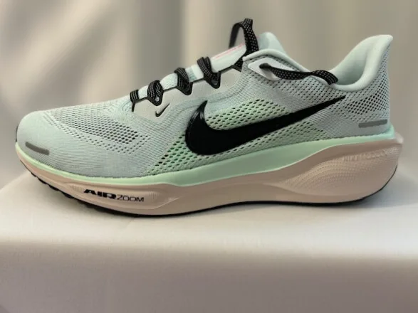 photo chaussure nike pegasus 41 coté